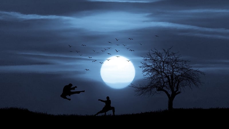 Chinese martial arts